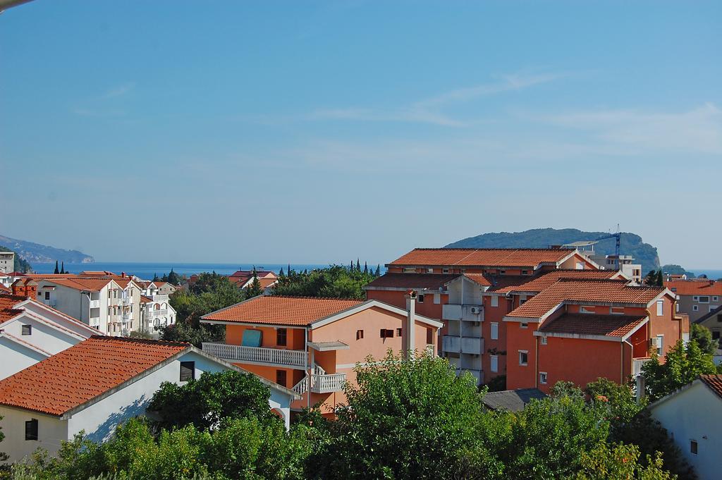 Vila Maslina Guesthouse Budva Rom bilde